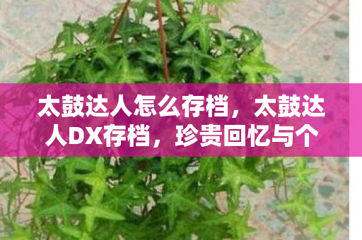太鼓达人怎么存档，太鼓达人DX存档，珍贵回忆与个性化体验