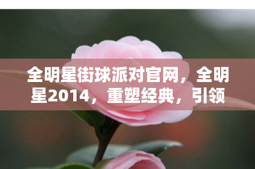 全明星街球派对官网，全明星2014，重塑经典，引领潮流