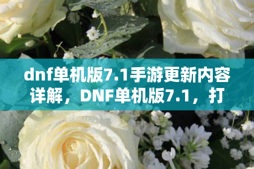 dnf单机版7.1手游更新内容详解，DNF单机版7.1，打造属于你的专属冒险世界
