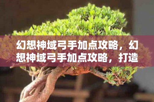 幻想神域弓手加点攻略，幻想神域弓手加点攻略，打造最强输出角色