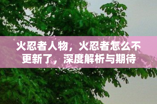 火忍者人物，火忍者怎么不更新了，深度解析与期待