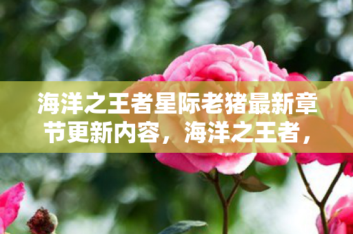 海洋之王者星际老猪最新章节更新内容，海洋之王者，探索海洋生态的守护者