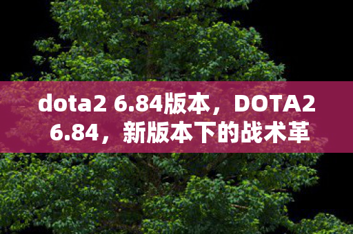 dota2 6.84版本，DOTA2 6.84，新版本下的战术革新与英雄崛起