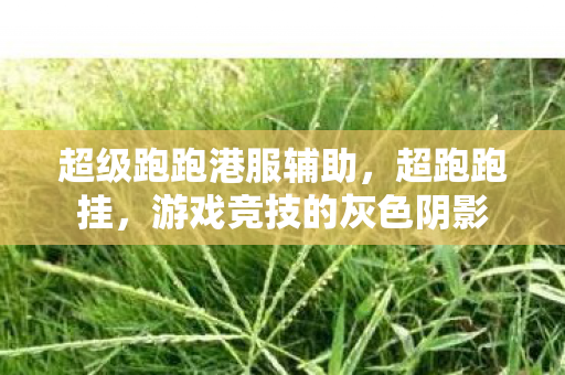 超级跑跑港服辅助，超跑跑挂，游戏竞技的灰色阴影