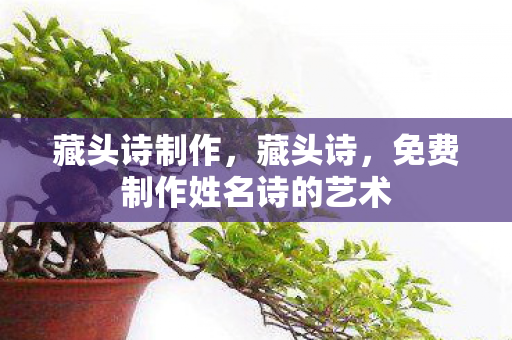 藏头诗制作，藏头诗，免费制作姓名诗的艺术