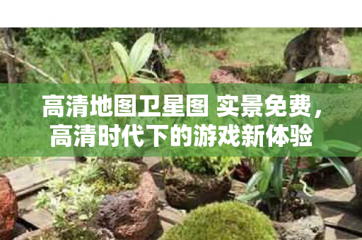 高清地图卫星图 实景免费，高清时代下的游戏新体验