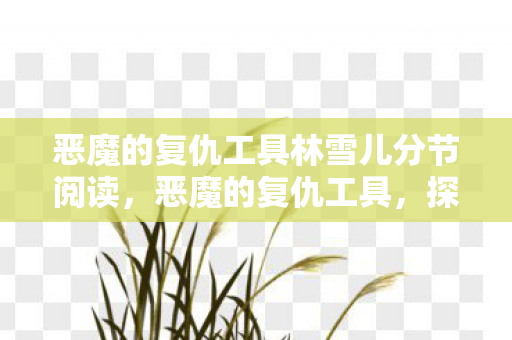 恶魔的复仇工具林雪儿分节阅读，恶魔的复仇工具，探索游戏世界的另类选择
