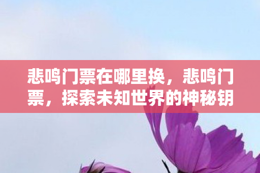 悲鸣门票在哪里换，悲鸣门票，探索未知世界的神秘钥匙
