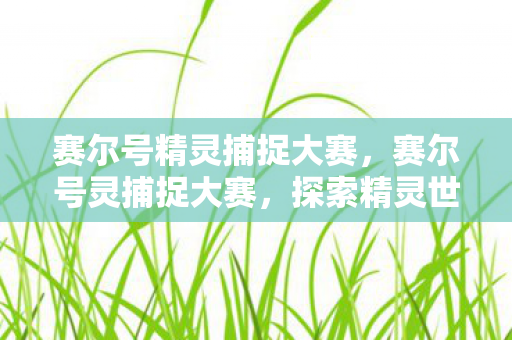 赛尔号精灵捕捉大赛，赛尔号灵捕捉大赛，探索精灵世界的奇妙之旅
