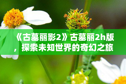 《古墓丽影2》古墓丽2h版，探索未知世界的奇幻之旅