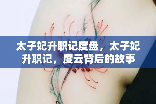 太子妃升职记度盘，太子妃升职记，度云背后的故事