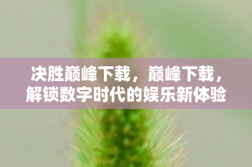 决胜巅峰下载，巅峰下载，解锁数字时代的娱乐新体验
