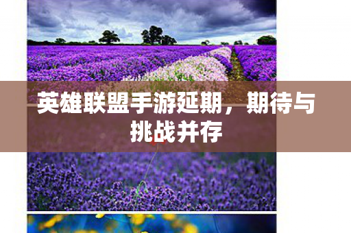 英雄联盟手游延期,期待与挑战并存 英雄联盟手游延期,期待与挑战并存