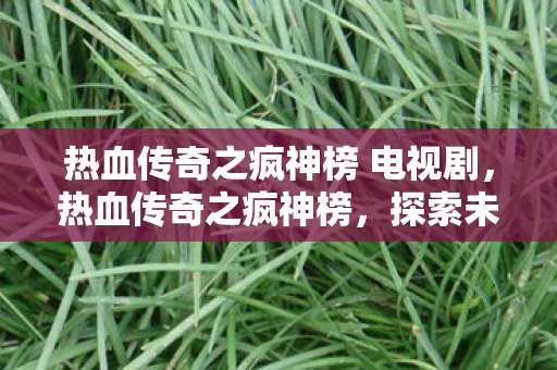 热血传奇之疯神榜 电视剧，热血传奇之疯神榜，探索未知世界的勇者之旅
