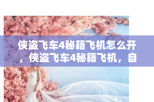 侠盗飞车4秘籍飞机怎么开，侠盗飞车4秘籍飞机，自由翱翔天际的秘籍