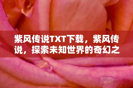 紫风传说TXT下载，紫风传说，探索未知世界的奇幻之旅