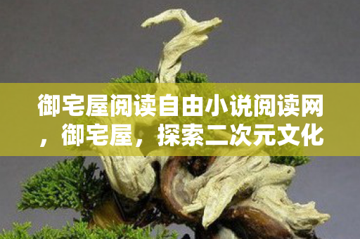 御宅屋阅读自由小说阅读网，御宅屋，探索二次元文化的深度与广度
