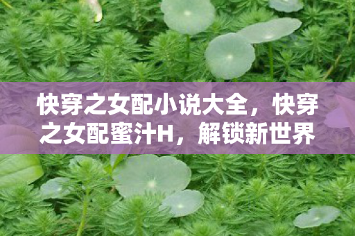 快穿之女配小说大全，快穿之女配蜜汁H，解锁新世界的奇幻之旅