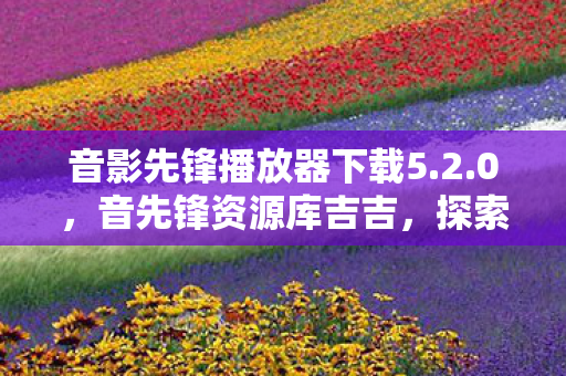 音影先锋播放器下载5.2.0，音先锋资源库吉吉，探索音乐创作的无限可能