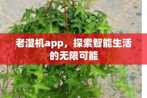 老湿机app，探索智能生活的无限可能