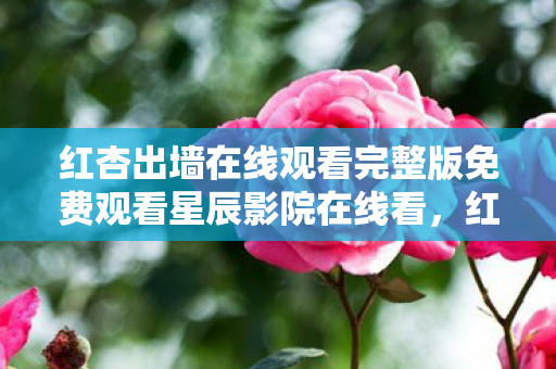 红杏出墙在线观看完整版免费观看星辰影院在线看，红杏，探索游戏世界的另一扇门