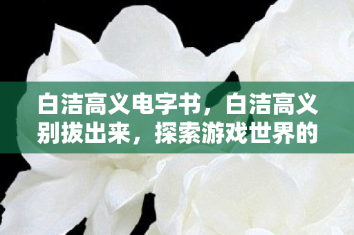 白洁高义电字书，白洁高义别拔出来，探索游戏世界的多元体验与社区互动