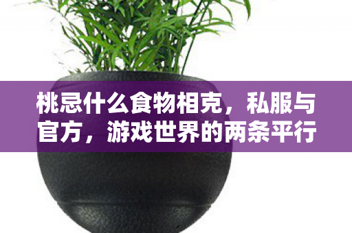 桃忌什么食物相克，私服与官方，游戏世界的两条平行线