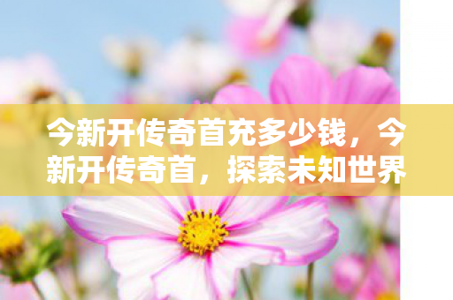 今新开传奇首充多少钱，今新开传奇首，探索未知世界的奇妙之旅