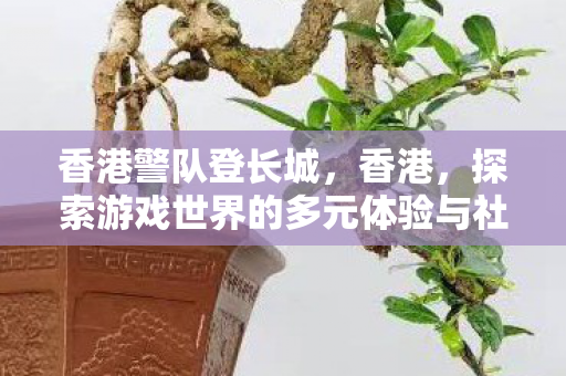 香港警队登长城，香港，探索游戏世界的多元体验与社区互动
