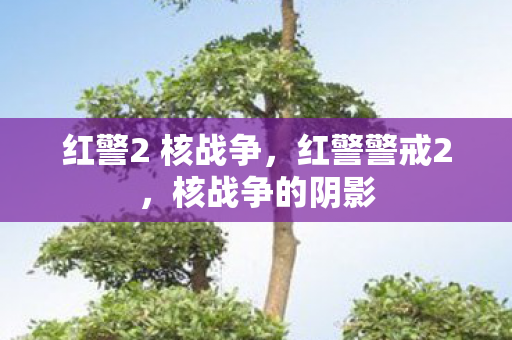 红警2 核战争，红警警戒2，核战争的阴影