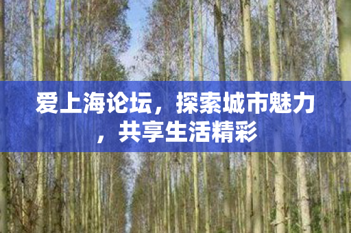 爱上海论坛，探索城市魅力，共享生活精彩