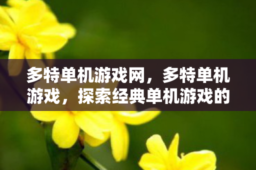 多特单机游戏网，多特单机游戏，探索经典单机游戏的魅力