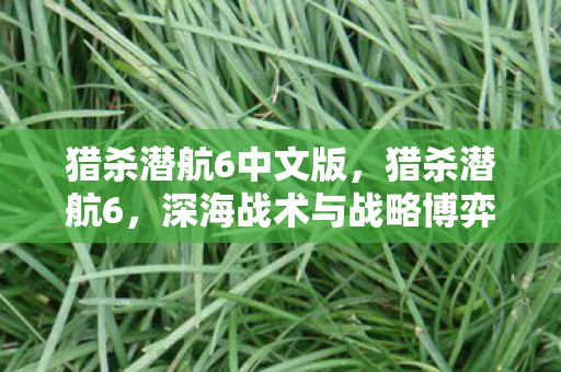 猎杀潜航6中文版，猎杀潜航6，深海战术与战略博弈的深度剖析