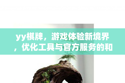 yy棋牌，游戏体验新境界，优化工具与官方服务的和谐共存