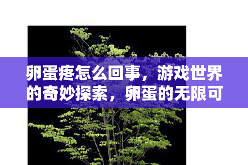 卵蛋疼怎么回事，游戏世界的奇妙探索，卵蛋的无限可能