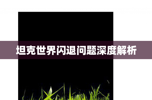 坦克世界闪退问题深度解析