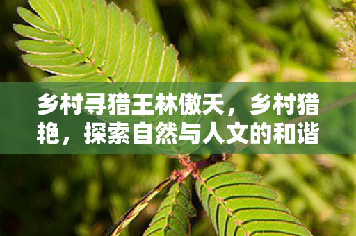 乡村寻猎王林傲天，乡村猎艳，探索自然与人文的和谐之美