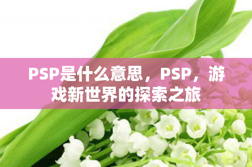 PSP是什么意思，PSP，游戏新世界的探索之旅