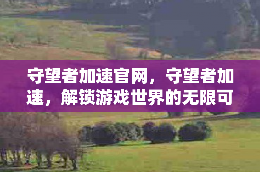 守望者加速官网，守望者加速，解锁游戏世界的无限可能