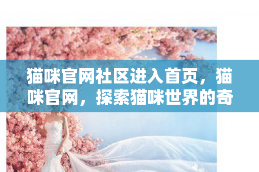 猫咪官网社区进入首页，猫咪官网，探索猫咪世界的奇妙之旅