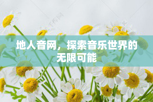 地人音网，探索音乐世界的无限可能