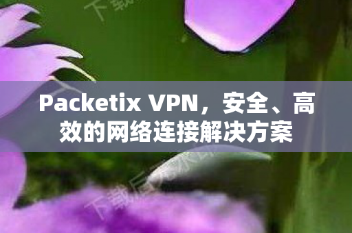 Packetix VPN，安全、高效的网络连接解决方案