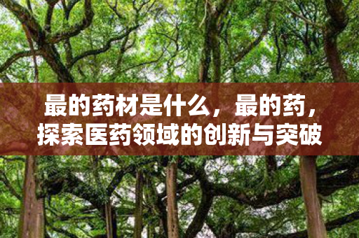 最的药材是什么，最的药，探索医药领域的创新与突破