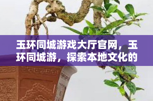玉环同城游戏大厅官网，玉环同城游，探索本地文化的深度之旅