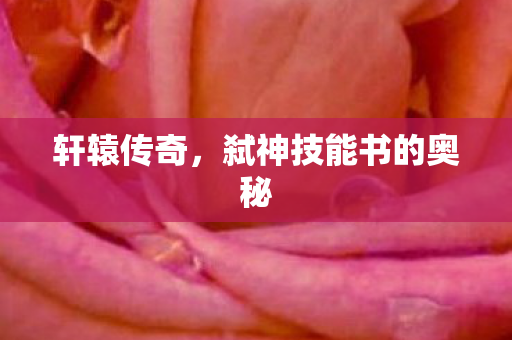 轩辕传奇，弑神技能书的奥秘