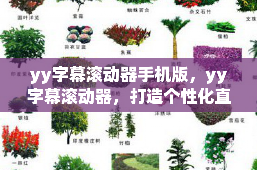 yy字幕滚动器手机版，yy字幕滚动器，打造个性化直播新体验
