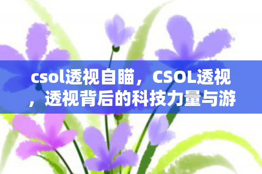 csol透视自瞄，CSOL透视，透视背后的科技力量与游戏平衡