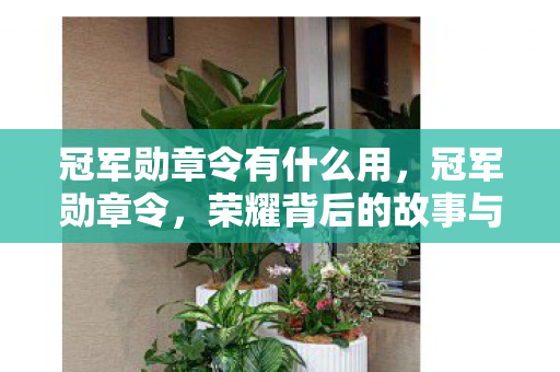 冠军勋章令有什么用，冠军勋章令，荣耀背后的故事与意义