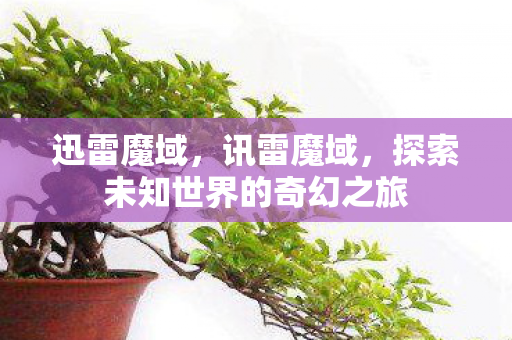 迅雷魔域，讯雷魔域，探索未知世界的奇幻之旅