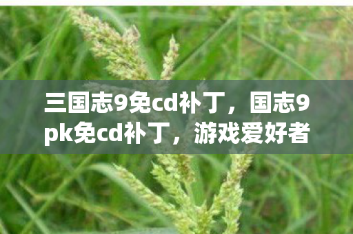 三国志9免cd补丁，国志9pk免cd补丁，游戏爱好者的福音